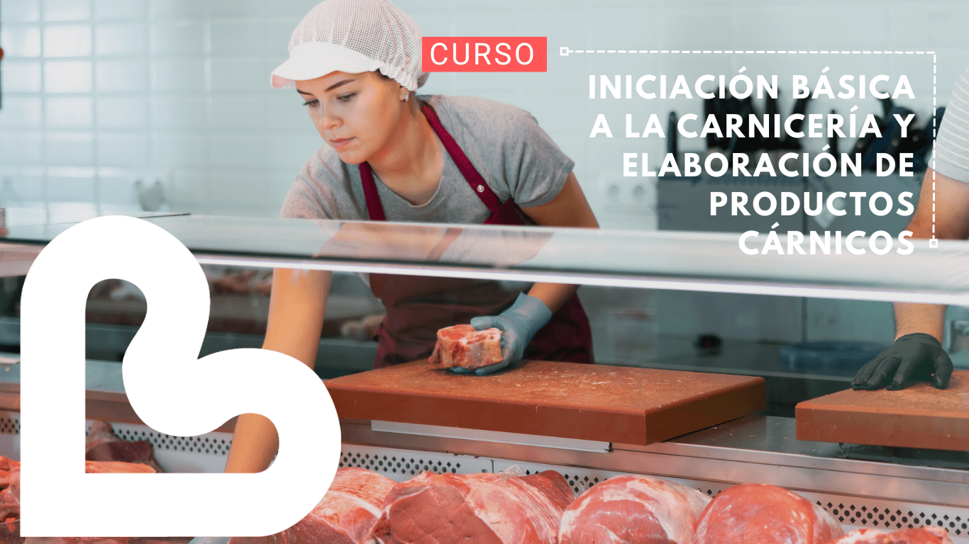 curso de carnicería en lugo