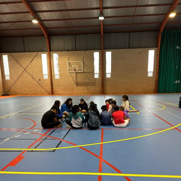 colonia urbana del proyecto acubillo lalin