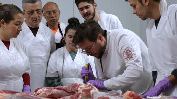 clase del curso de carnicería en lugo